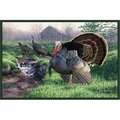 Associated Weavers Custom Printed Rugs TURKEY Turkey Wildlife Rug TURKEY